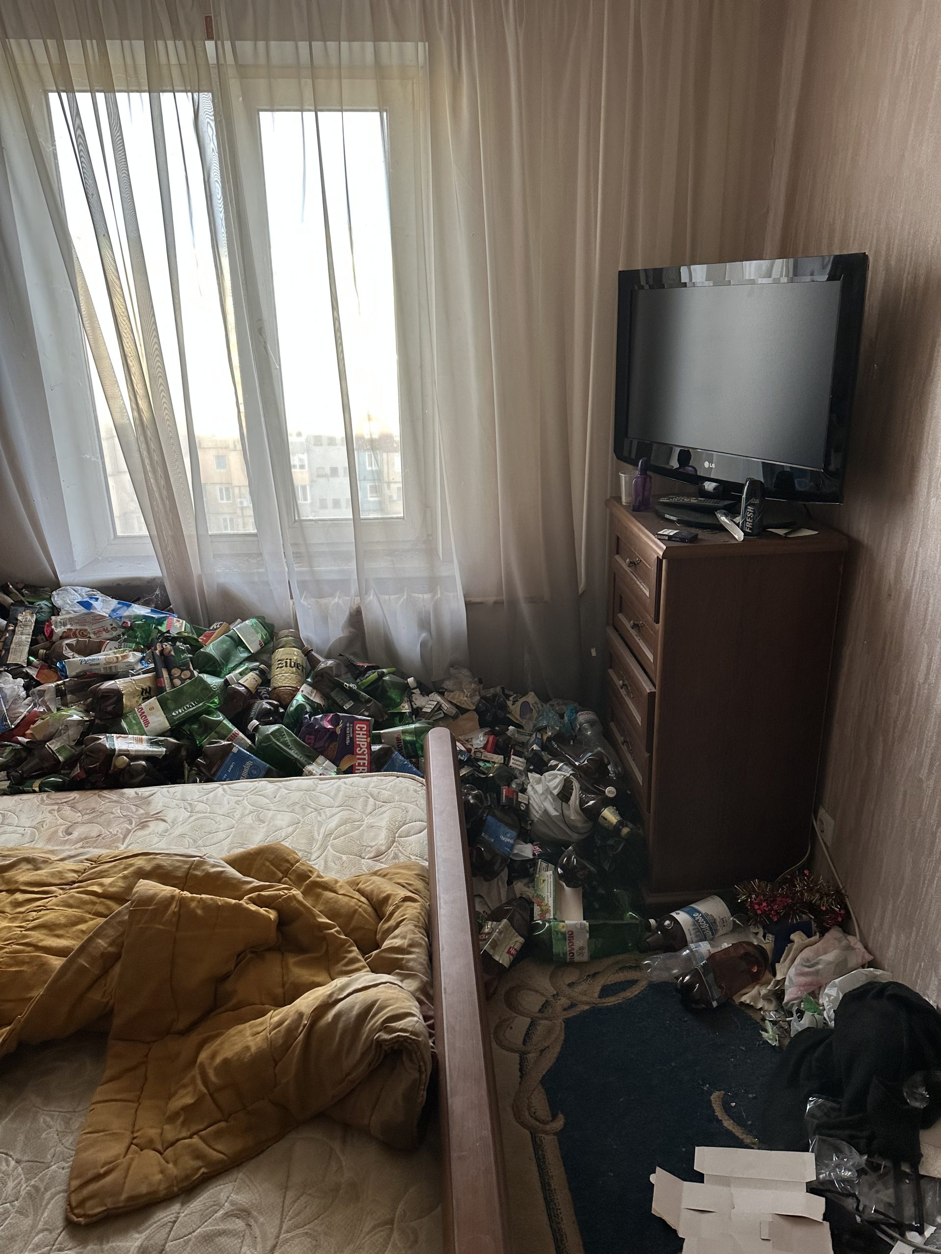 зображення viber 2026 02 11 13 01 28 567 scaled
